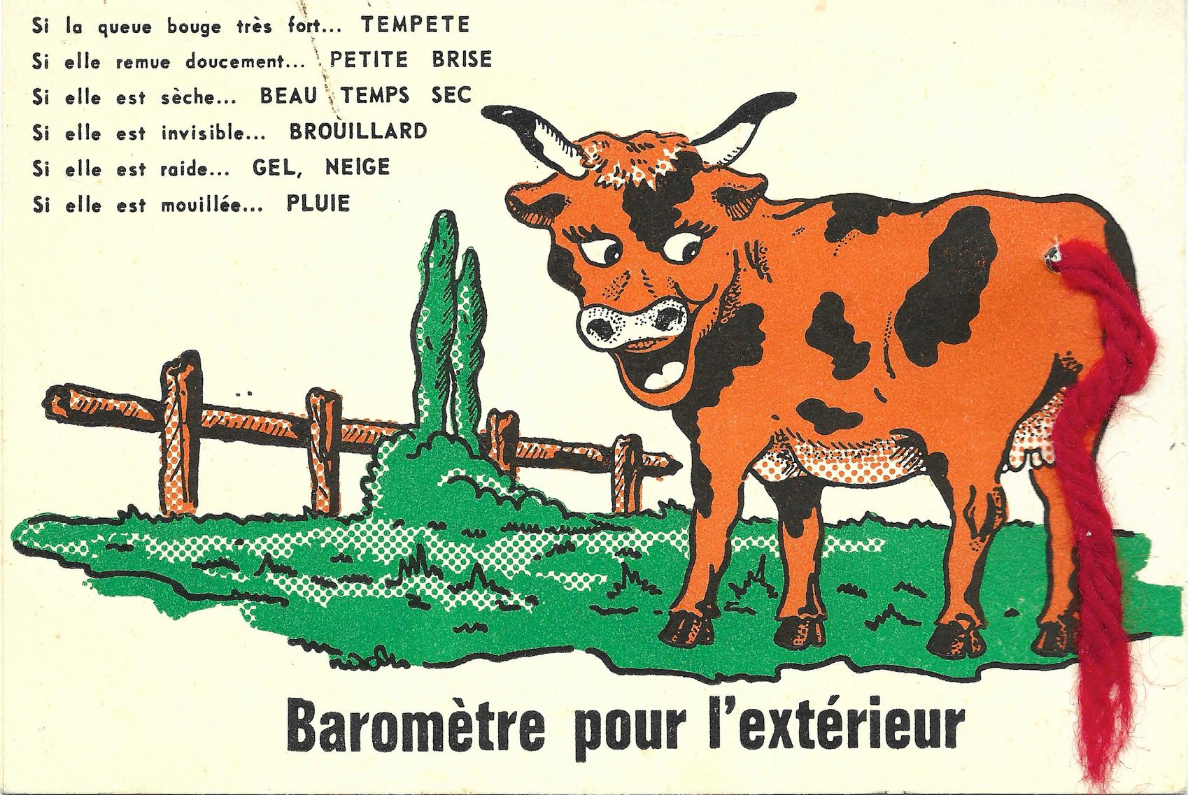 cow-barometer