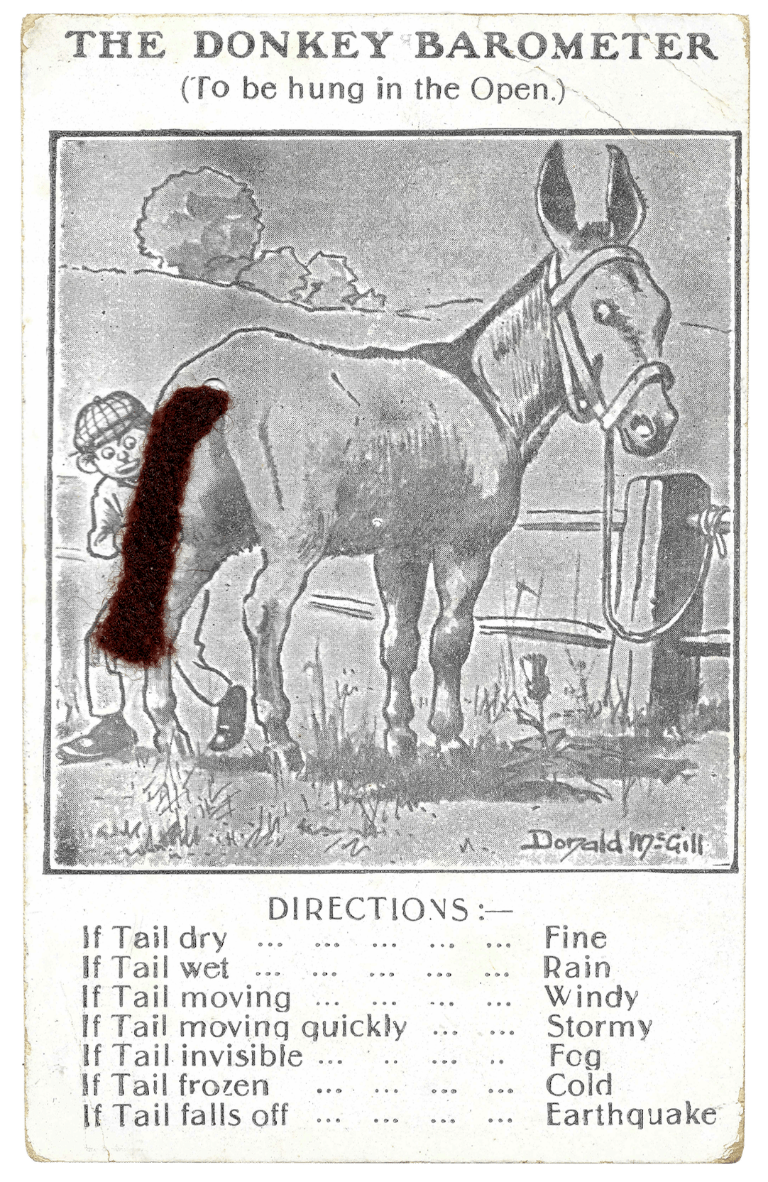 donkey-barometer_face