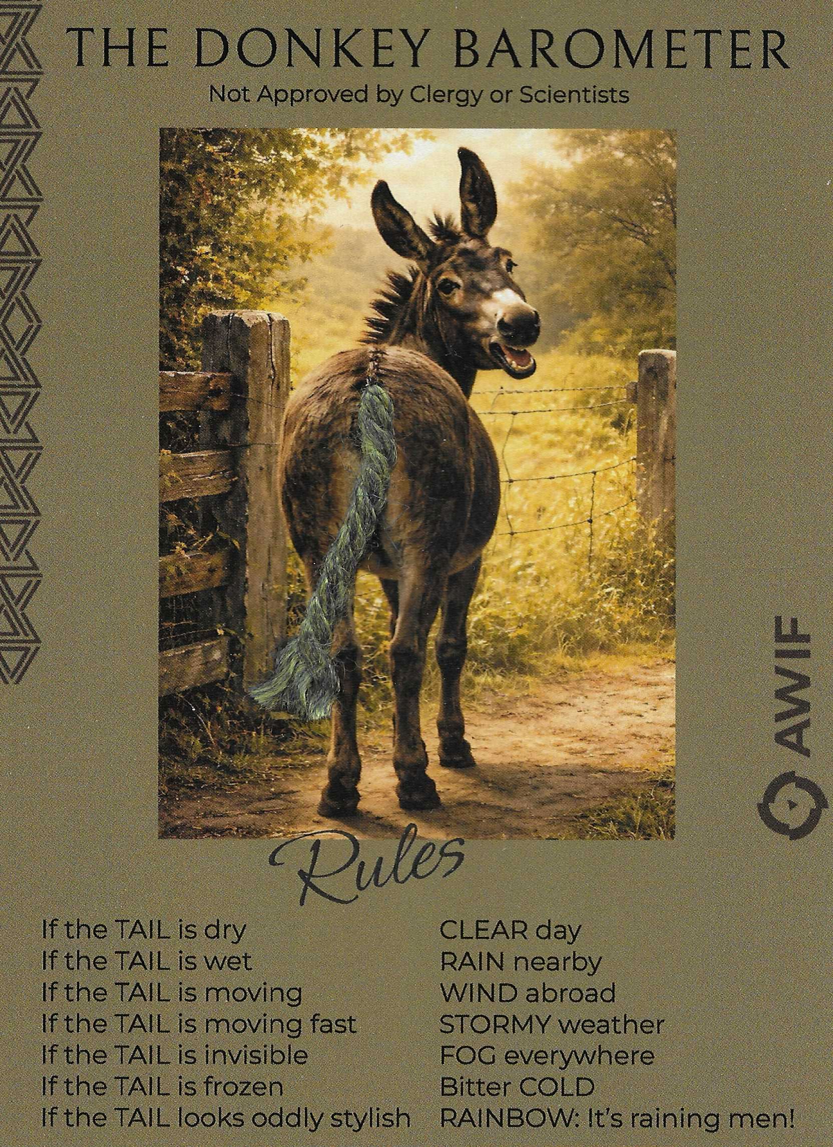 donkey