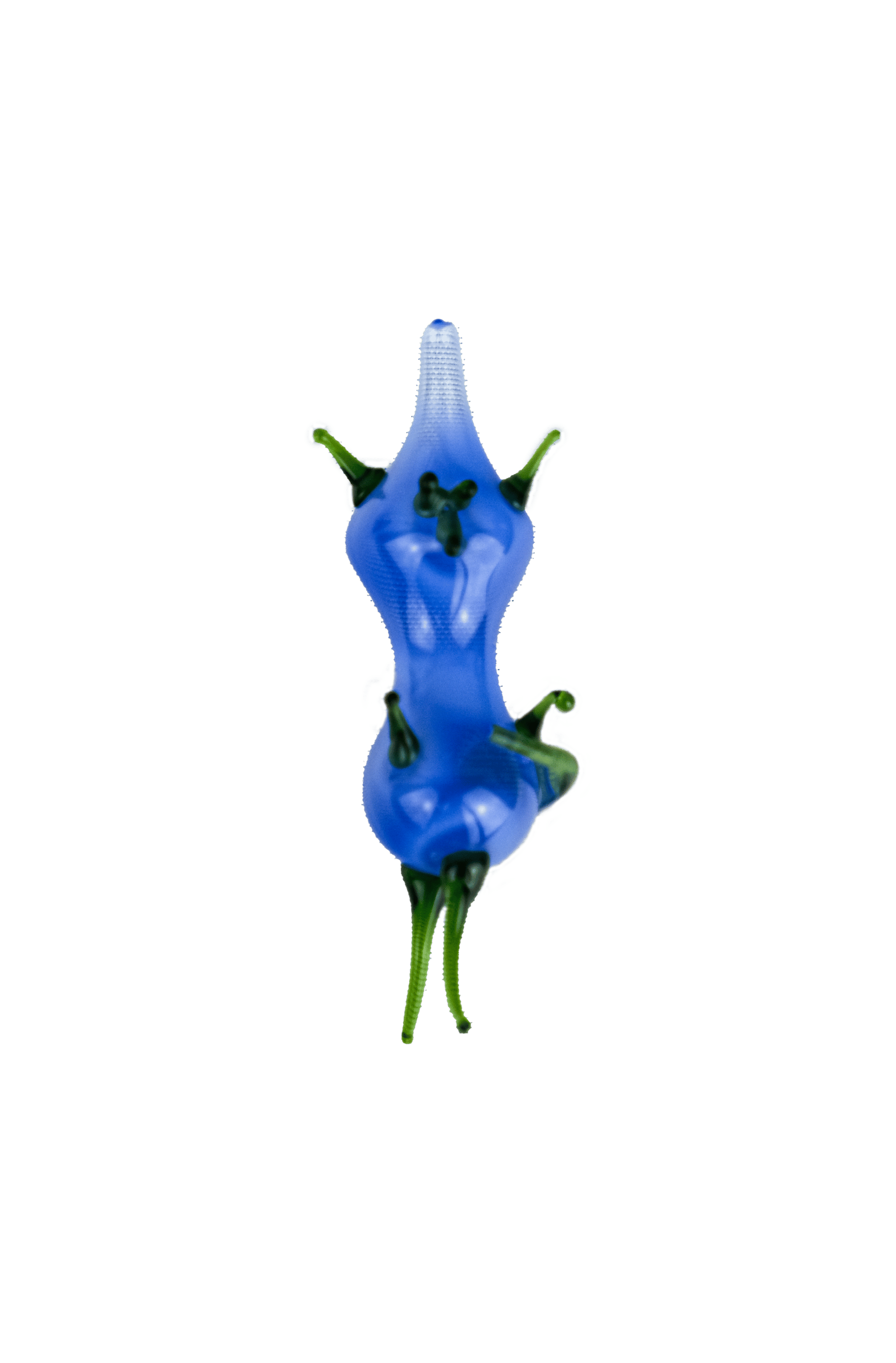 Cartesian diver