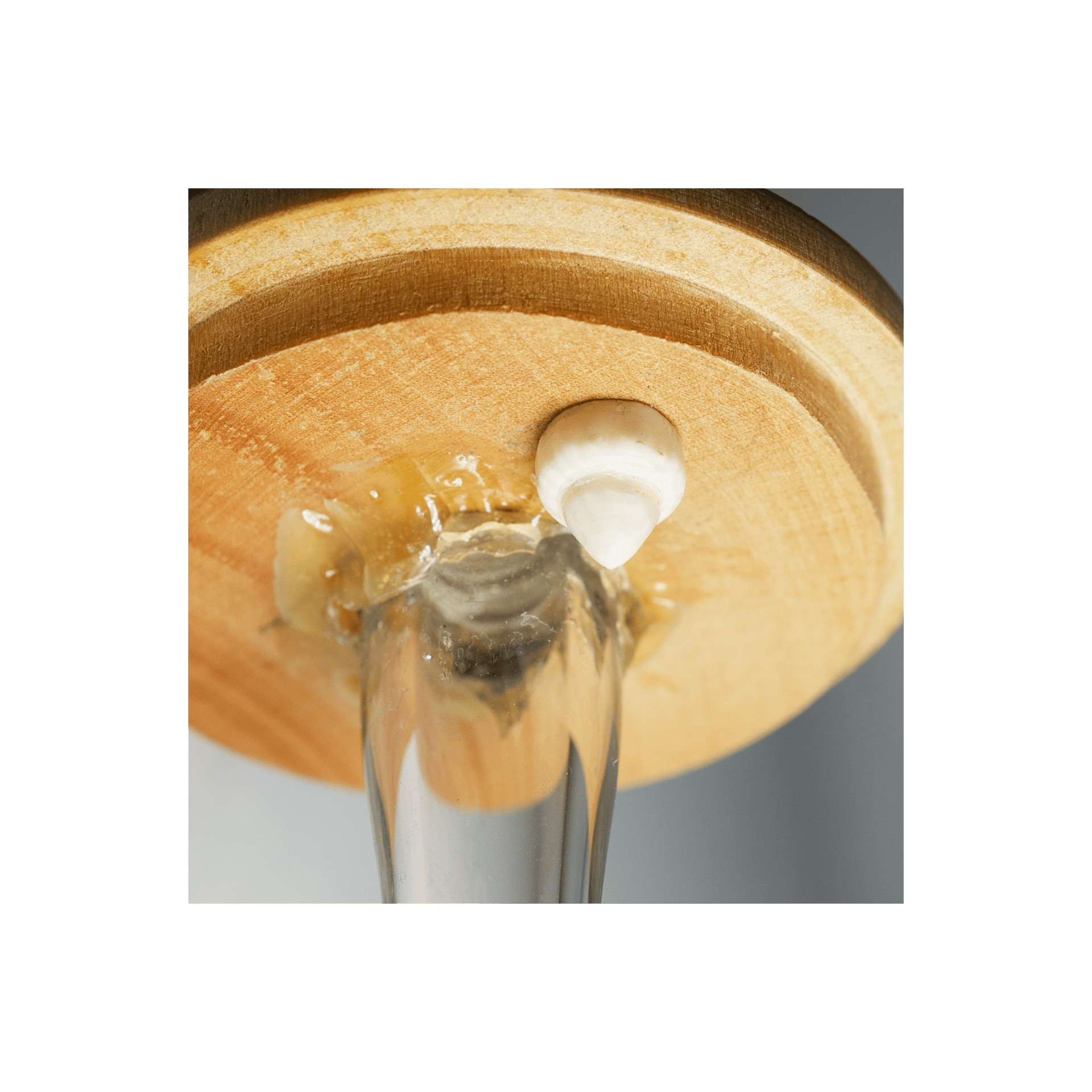 Fortin Barometer