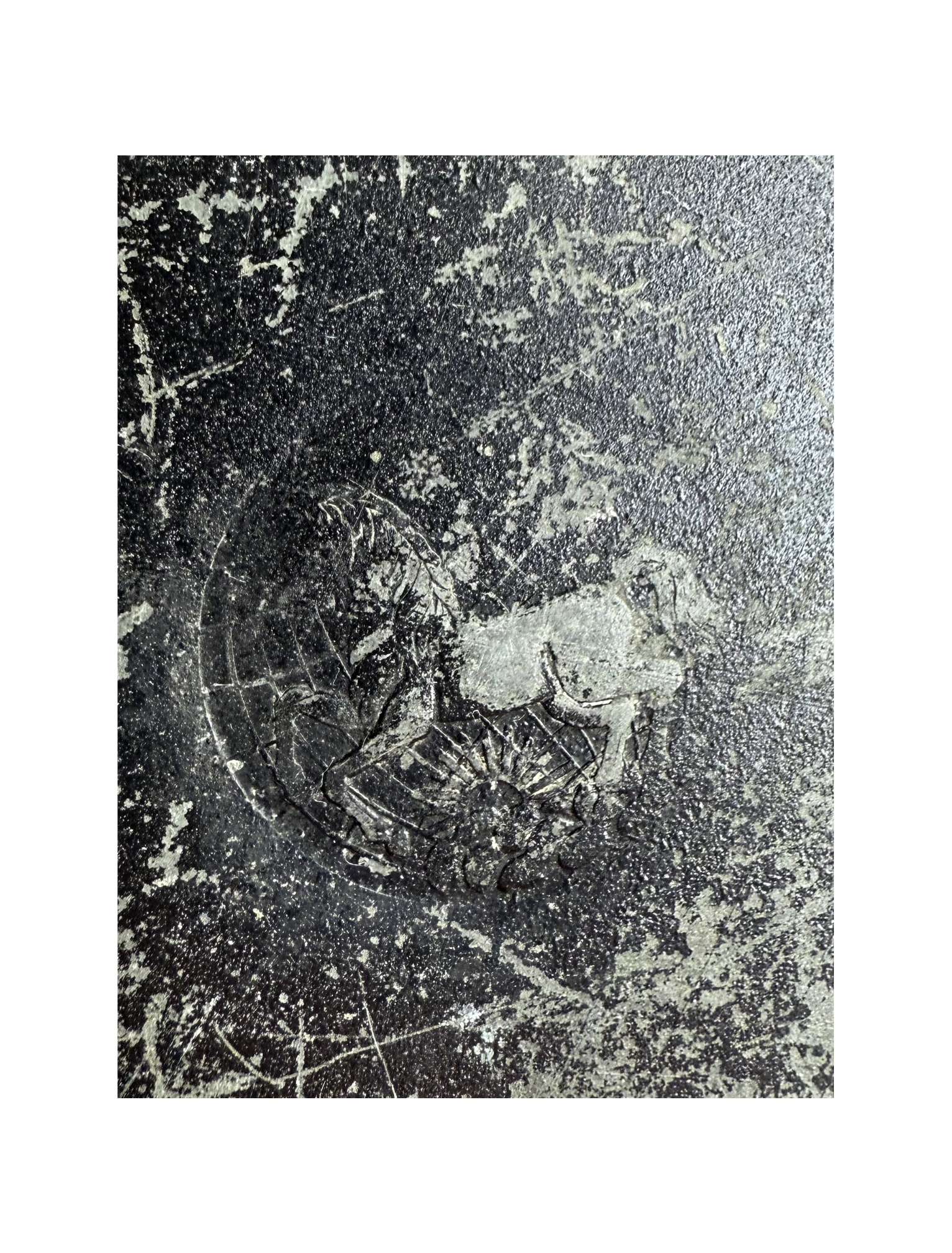 Russian Empire black-lacquered cased aneroid barometer