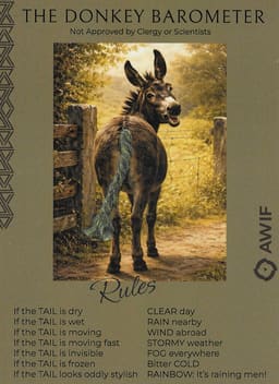 donkey