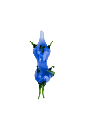 Cartesian diver