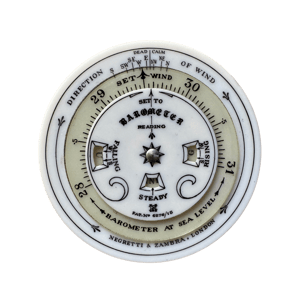 Celluloid weather forecaster