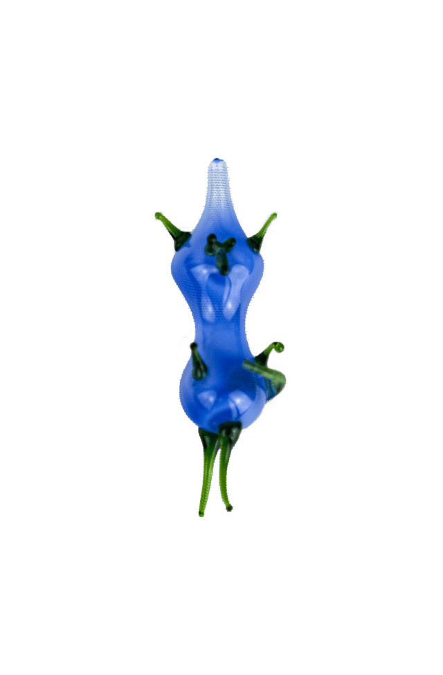 Cartesian diver